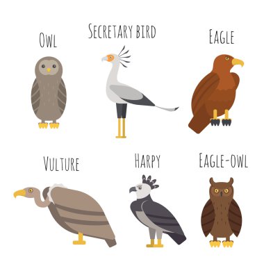 Vector set of Colorful birds of prey icons. Owl, vulture, eagle  clipart