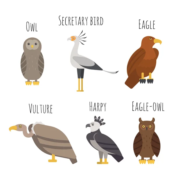 Ensemble vectoriel d'icônes d'oiseaux de proie colorés. Hibou, vautour, aigle — Image vectorielle