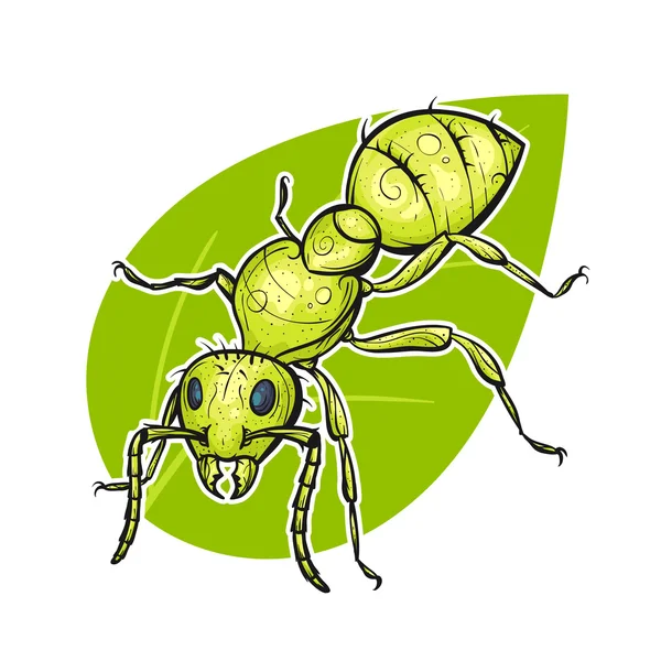 Vettore colorato disegnato a mano illustrazione di formica . — Vettoriale Stock