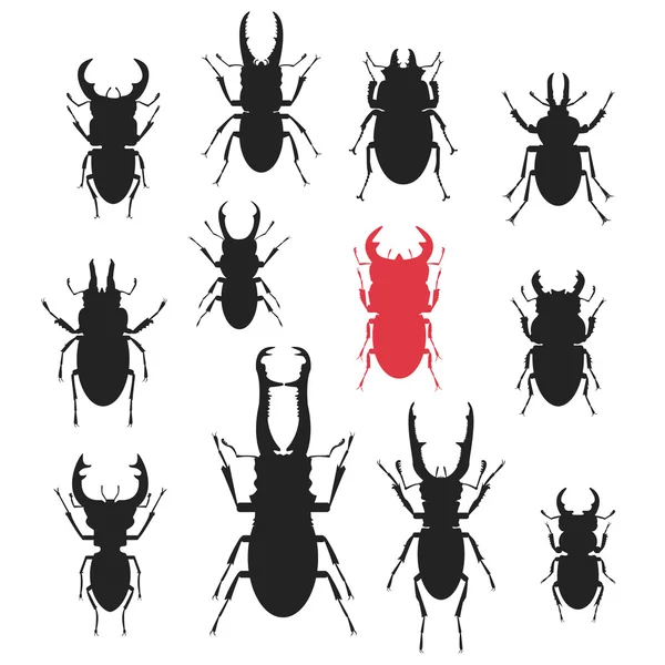 Silhouette di diversi tipi di scarabei cervi . — Vettoriale Stock