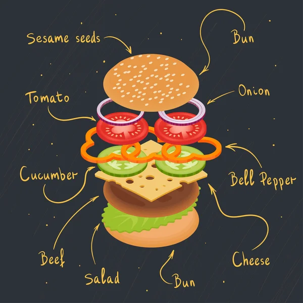 Ilustración vectorial de infografías de hamburguesas . — Vector de stock