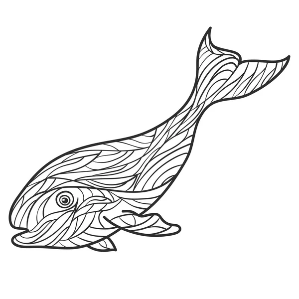 Vector monochroom hand getekende illustratie van de walvis. — Stockvector