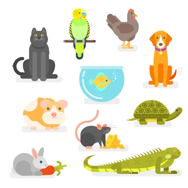 Vector set of various home pets — Stock Vector