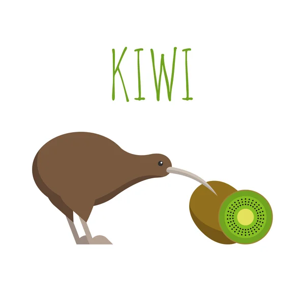 Illustratie van kiwivogel en kiwi fruit — Stockvector