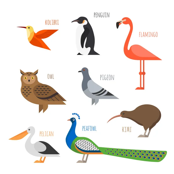 Ensemble vectoriel d'icônes d'oiseaux colorés. Hibou, colibri et pigeon — Image vectorielle