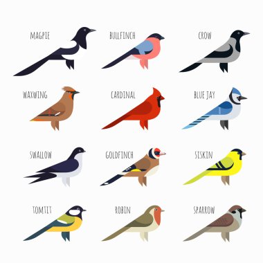 Vektör renkli kuş simgeler kümesi. Kardinal, magpie, serçe