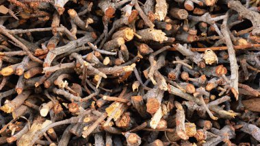 Küçük odun parçalarını kış için odun yığınlarına ayırmak ve evde yakıt olarak kullanmak. Desenli Arkaplan.