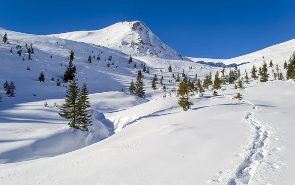 Sendero en la nieve a la montaña — Foto de Stock