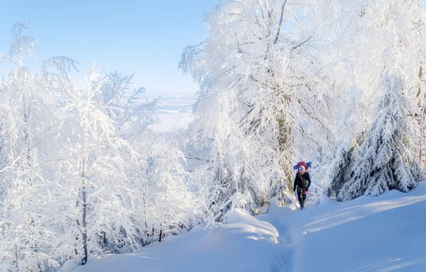 Turista solitario en los bosques nevados — Foto de Stock