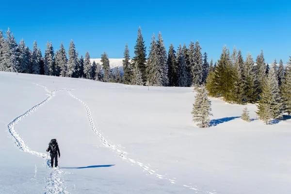 Turismo de invierno en las montañas Cárpatas — Foto de Stock