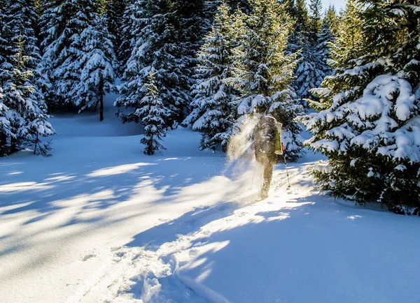 Turista levanta polvo de nieve — Foto de Stock