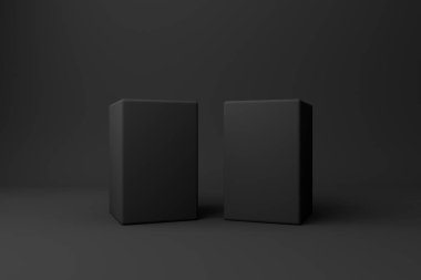 Lüks ürün ambalajlama ve markalaşma için bir çift zarif siyah kare kutu..