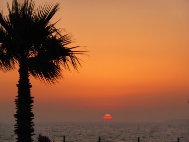 Güzel gün batımı turuncu ve mor tonlarında