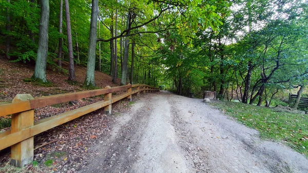 Caminho Borda Floresta — Fotografia de Stock