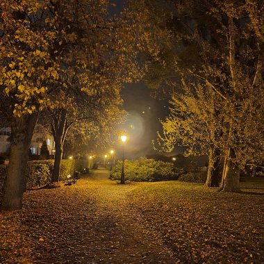 Geceleri insanlar olmadan park et, bir fener yak..