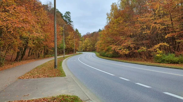 Sonbahar Ormanlarında Sokak Kaldırım Insan Araba Var Stok Fotoğraf