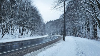 Kış ormanı Karlı bir ormanda, insanların olmadığı bir sokakta ve kaldırımda.