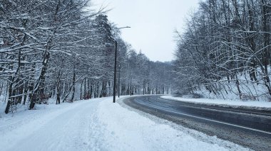 Kış ormanı Karlı bir ormanda, insanların olmadığı bir sokakta ve kaldırımda.