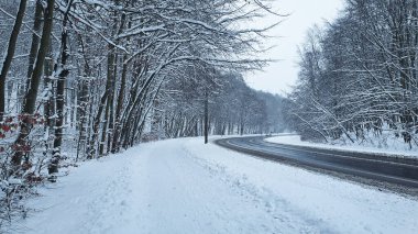 Kış ormanı Karlı bir ormanda, insanların olmadığı bir sokakta ve kaldırımda.
