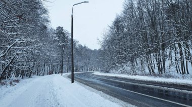 Kış ormanı Karlı bir ormanda, insanların olmadığı bir sokakta ve kaldırımda.