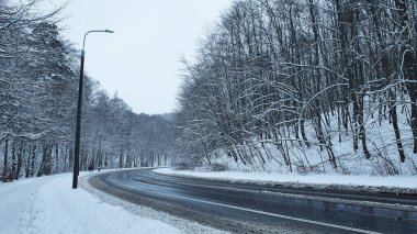 Kış ormanı Karlı bir ormanda, insanların olmadığı bir sokakta ve kaldırımda.