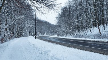 Kış ormanı Karlı bir ormanda, insanların olmadığı bir sokakta ve kaldırımda.