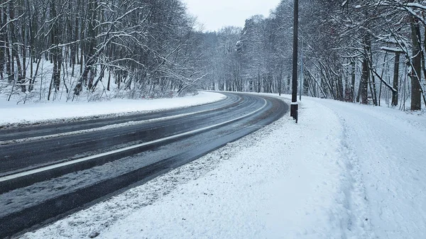 Kış ormanı Karlı bir ormanda, insanların olmadığı bir sokakta ve kaldırımda.