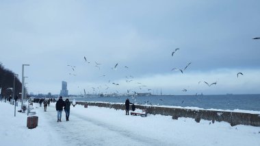 Gdynia, Polonya - 17 Ocak 2021: kış yürüyüşü. Polonya 'nın Gdynia kentindeki Baltık deniz bulvarında yürüyen insanlar. Gdynia, Polonya 'da Baltık Denizi' nin önemli bir limanıdır..