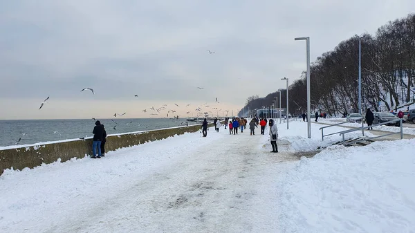 Гдиня Польща Січня 2021 Зимова Прогулянка Люди Які Ходять Балтійському — стокове фото