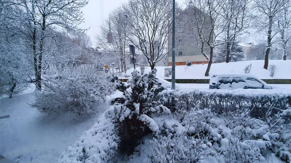 Зима Місті Снігові Вулиці Снігові Автомобілі — стокове фото