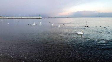 Gökyüzünün inanılmaz renkleri. Batan güneşin renklerinde Gdynia plajı, Polonya