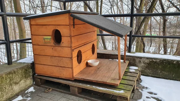 Hermosa Perrera Madera Para Gatos Sin Hogar Una Plataforma Madera Fotos De Stock