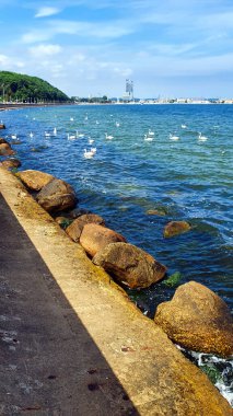 Gdynia deniz kıyısındaki dalgakıranın yanındaki körfezde çok güzel bir su rengi var. Gdynia, Polonya 'da Baltık Denizi' nin önemli bir limanıdır..