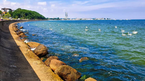 Bellissimo Colore Dell Acqua Nella Baia Dal Frangiflutti Nella Città — Foto Stock