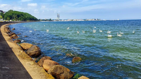 Gdyniaの海辺の街の防波堤によって湾内の水の美しい色 グディニアはポーランドのバルト海の重要な海港です ストック画像