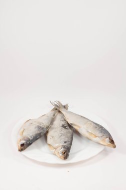 bira ve kurutulmuş balık