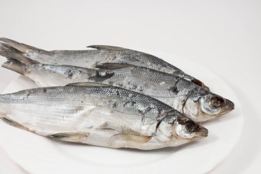 bira ve kurutulmuş balık