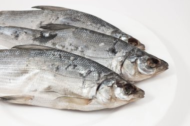 bira ve kurutulmuş balık