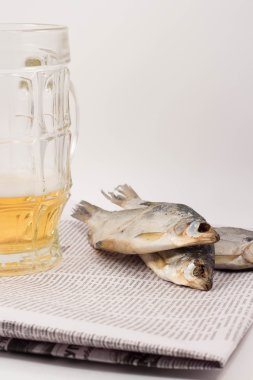 bira ve kurutulmuş balık