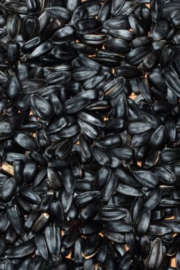 Ayçiçeği tohumları Tahta bir masada