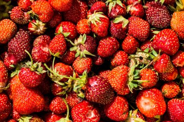 Bir kasede çilek, yakın plan.