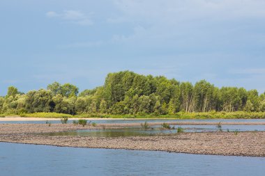Yaz Sibirya orman nehir kenarında