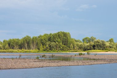 Yaz Sibirya orman nehir kenarında