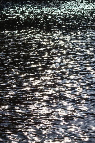 Nyári szibériai erdei a folyó — Stock Fotó