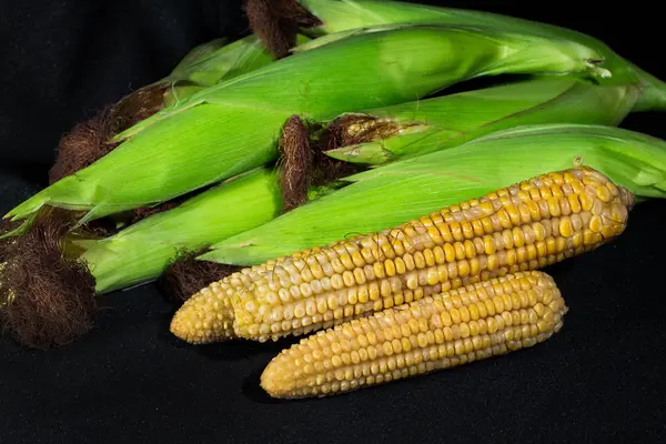 Свіжа кукурудза на фоні — стокове фото