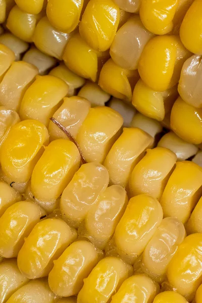 Свіжа кукурудза на фоні — стокове фото
