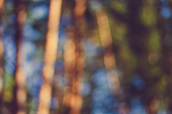 Stil bokeh arka plan bulanık