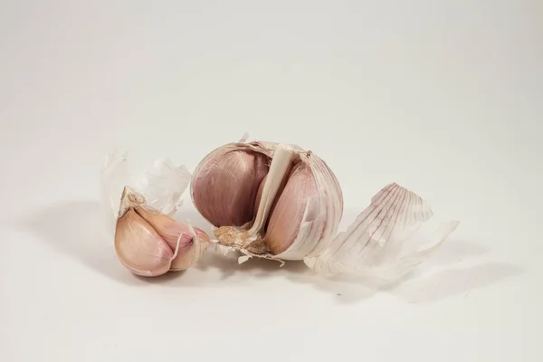 Heads of garlic on a white background — Stock Photo, Image