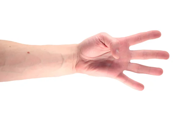 Hand gestures on a white background — Stock Photo, Image