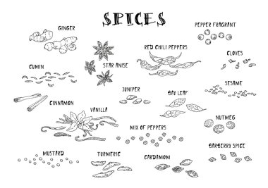 Baharat simgeler kümesi. Elle çizilmiş baharat ve otlar